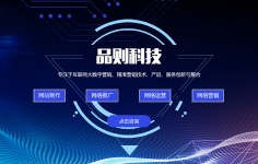 如何提升网络运营能力？品则信息科技（上海）有限公司为您详细讲解！！